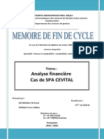Analyse financière.pdf