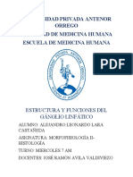 Histología Semana 5.docx