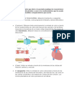 Tratamiento Caso Clinico