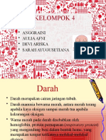 Sistem Peredaran Darah 