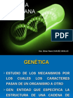 genetica-bacteriana