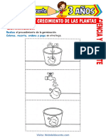 Germinación y Crecimiento de Las Plantas para Niños de 3 Años