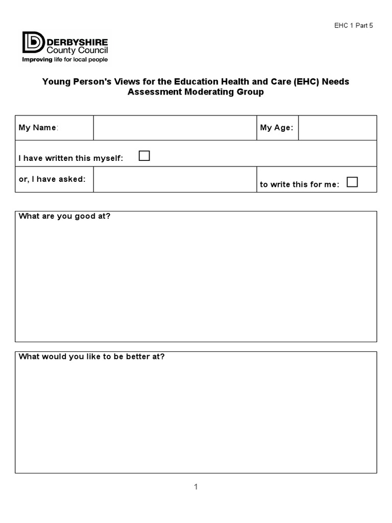 Young Person's Views For The Education Health and Care (EHC) Needs ...