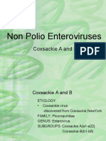 Non Polio Enteroviruses