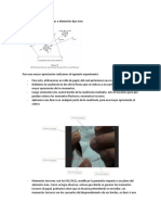 Momentos Internos en Losas o Elementos Tipo Área