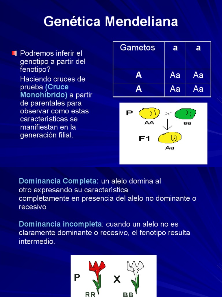 Tipos De Dominancia Genética | Quais são os três tipos de interação ...