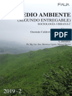 Sociologìa Urbana. Medio Ambiente. 2 PC Vfinal PDF