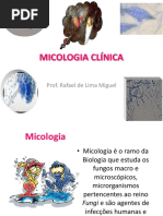Introdução Micologia