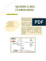 Consulta Glucocinasa y Efecto Pasteur