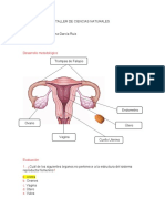 Guia 3 de C, Naturales