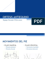 9 - Antiequino