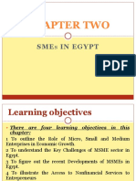CH2 SMEs in Egypt 2 PDF