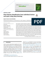 Arnal Barbedo 2019 Plant Disease Identification From I PDF