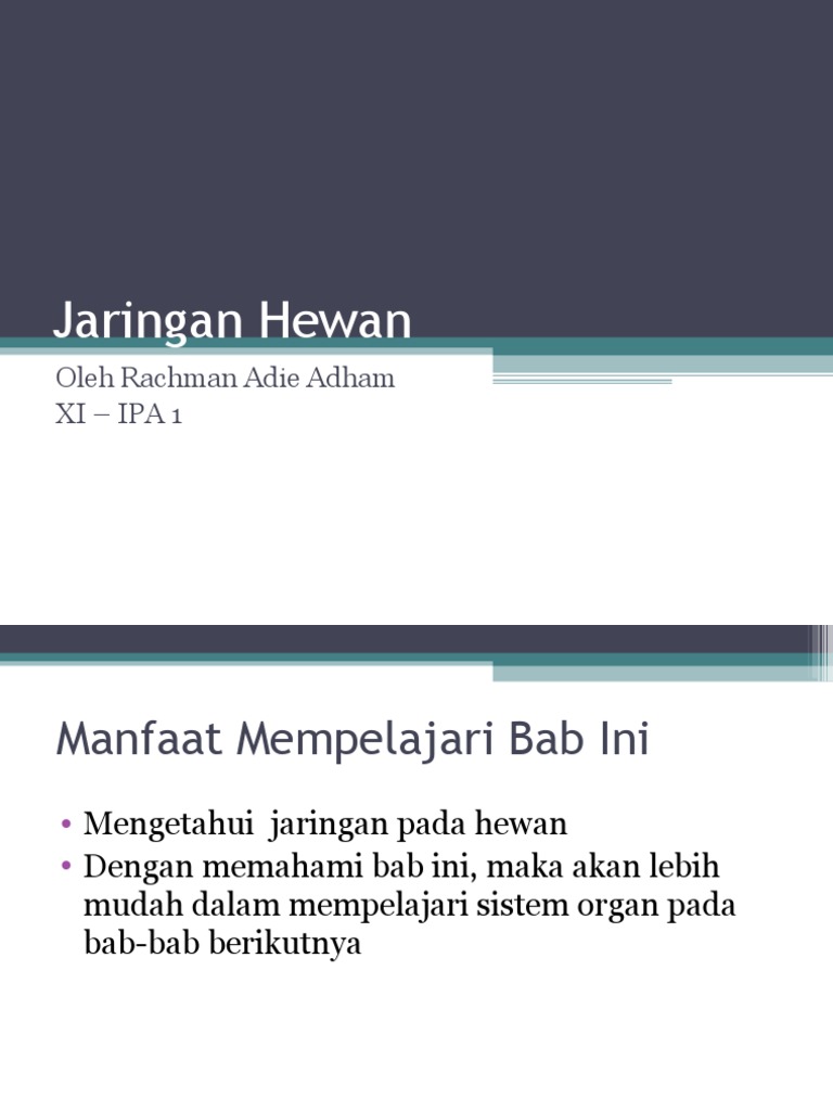  jaringan  hewan 