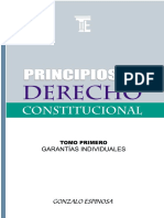 Principios de Derecho Constitucional PDF