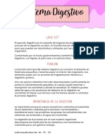 Sistema Digestivo PDF