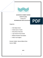 Practica 2. Fisiopatologia