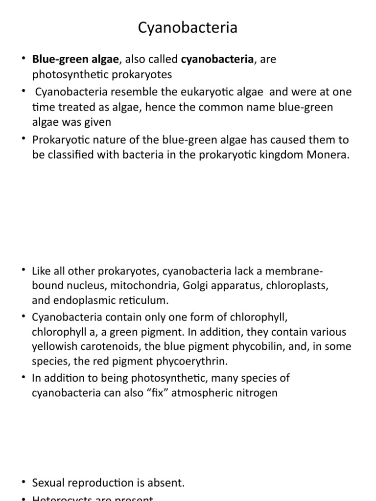 Nostoc 180724171044 | PDF | Cyanobacteria | Algae