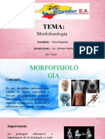 Trabajo de Mofofisiologia de Rosa Moposita