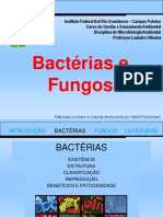 102082-Bacterias_e_fungos