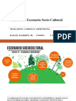 Escenario Socio Cultural