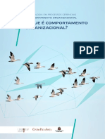 Comportamento Organizacional: Entendendo as Pessoas para Melhorar Processos