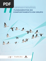 UA 11 - Fundamentos do comportamento em grupo.pdf