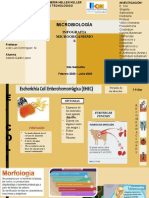 Microbiología Proyecto