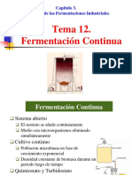 Tema 12 Fermentacion Continua PDF