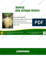 Kultur Jaringan Stroberi