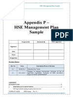 Appendix P - HSE Management Plan