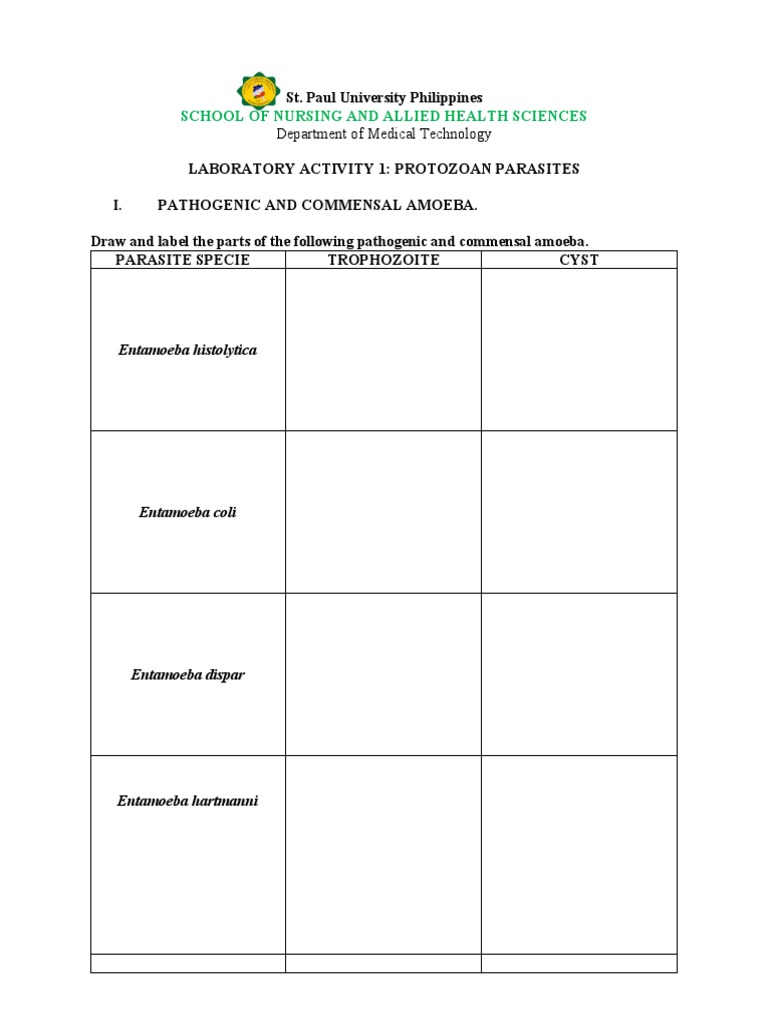 Lab Manual Activity 1 PDF