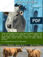 Zaštita Krava - Važnost I Globalna Dobrobit