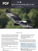 NIKKOR Z DX 16-50mm f/3.5-6.3 VR [ブラック] Amateur Photographer - June 14, 2014 UK | PDF | Digital Single