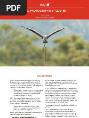 BirdPhotography_Etiquette.pdf