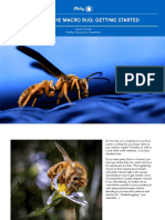 Bitten+by+the+Macro+Bug Getting+Started PDF