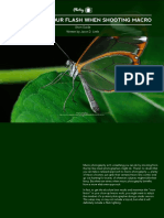 How To Use Your Flash When Shooting Macro: Photzy