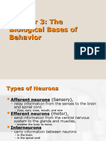 Chapter 3: The Biological Bases of Behavior