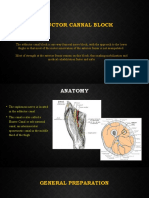 ACB Dan FIBC