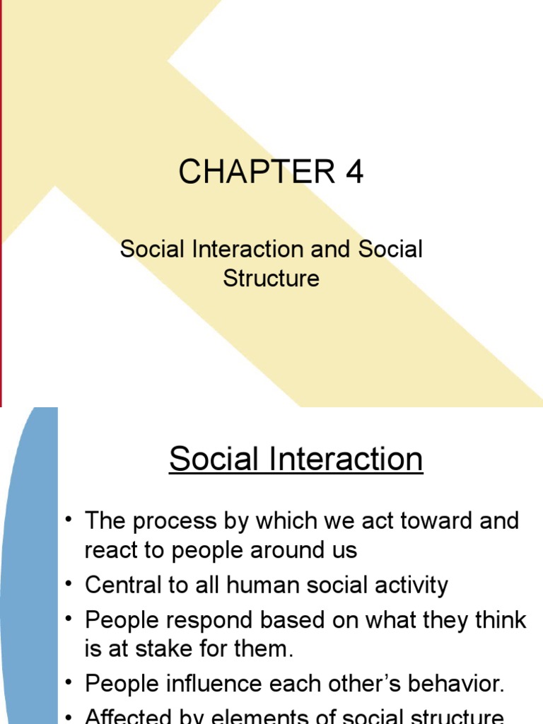 Social Interaction and Structure Explained | PDF | Social Structure ...