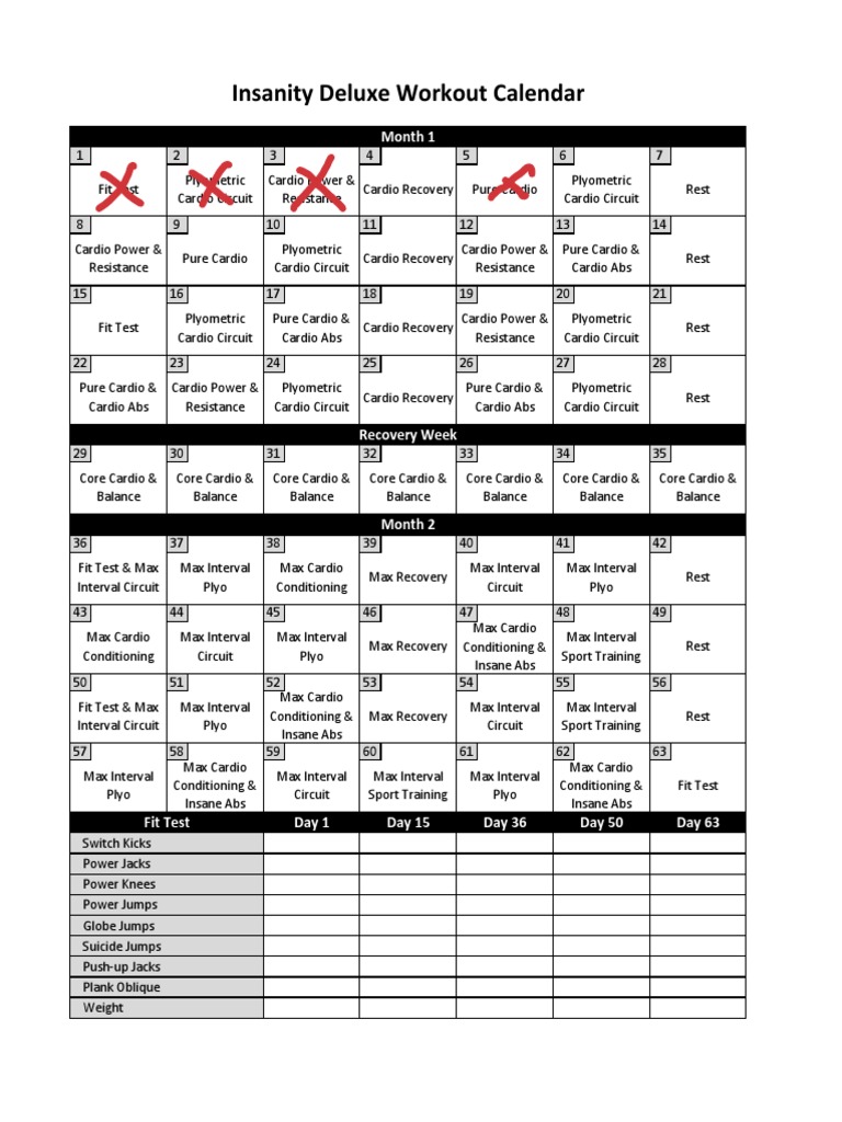 Insanity Workout Schedule Overview | PDF | Determinants Of Health ...