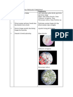 Laporan Sementara Fisiologi Tumbuhan
