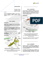 Artrópodes PDF