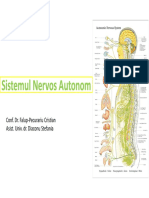 Sistemul Nervos Autonom