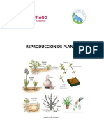Reproducción_de_Plantas.pdf