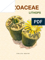 Lithops: El Alto, La Paz - Bolivia 2020