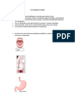 Tarea Digestión de lípidos(Q220) (1).doc