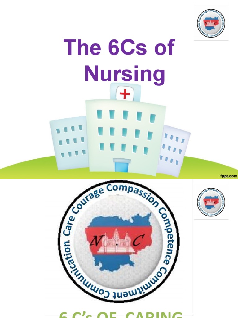 The 6Cs of Nursing | PDF
