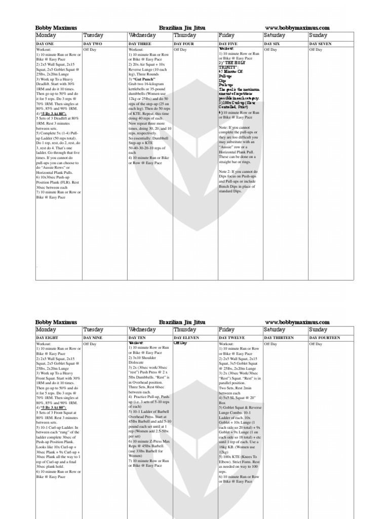 Brazilian Jiu Jitsu Pages PDF Sports Individual Sports
