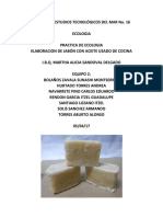 LogIVA E2 Practica Jabon PDF